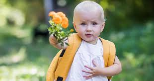 Bulletin pédagogique 8 – La rentrée