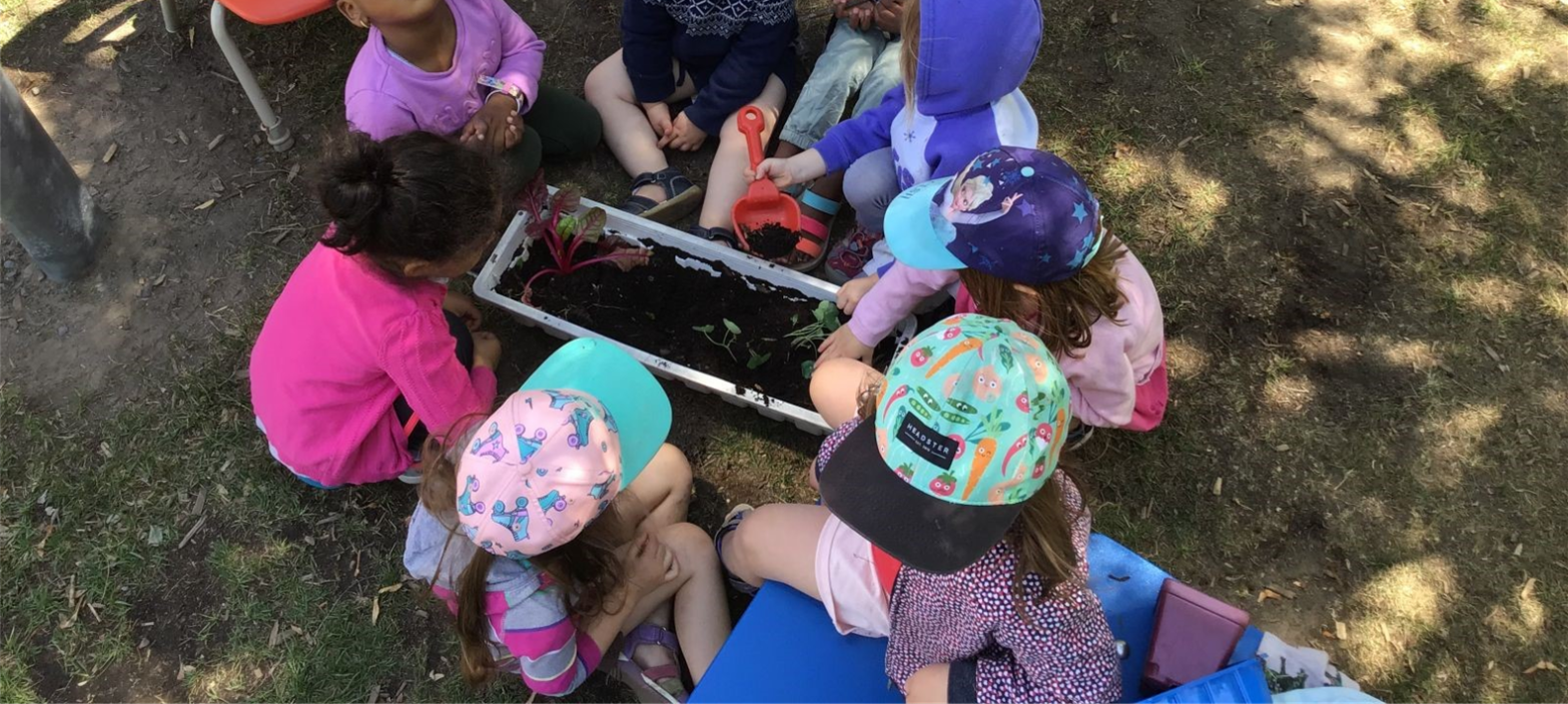 Bulletin 17 – CPE&nbsp;durable